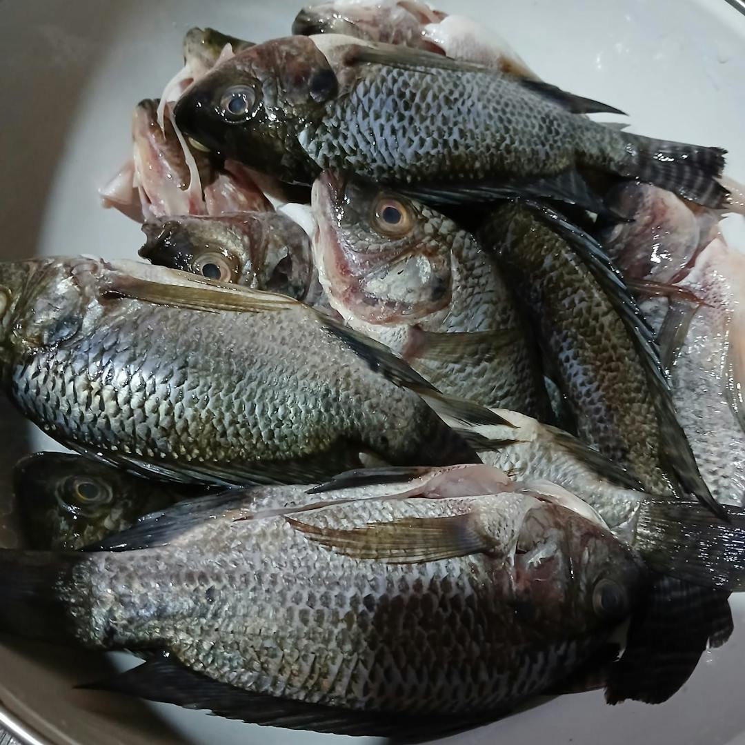 Gambar 4 Langkah 1 Resep Ikan Mujair Kuah Santan