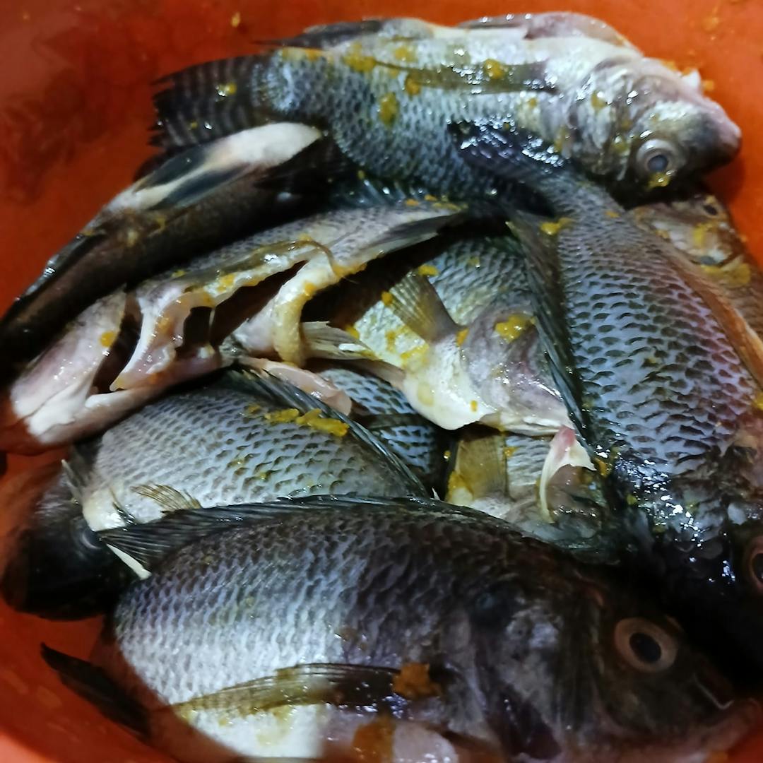 Gambar 2 Langkah 1 Resep Ikan Mujair Kuah Santan