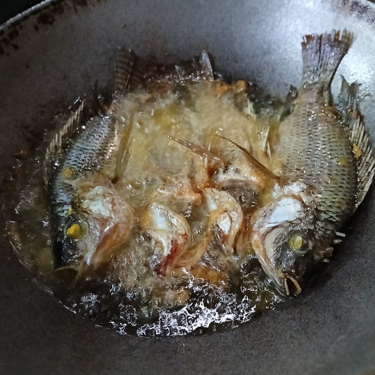 Langkah 2 Resep Ikan Mujair Kuah Santan